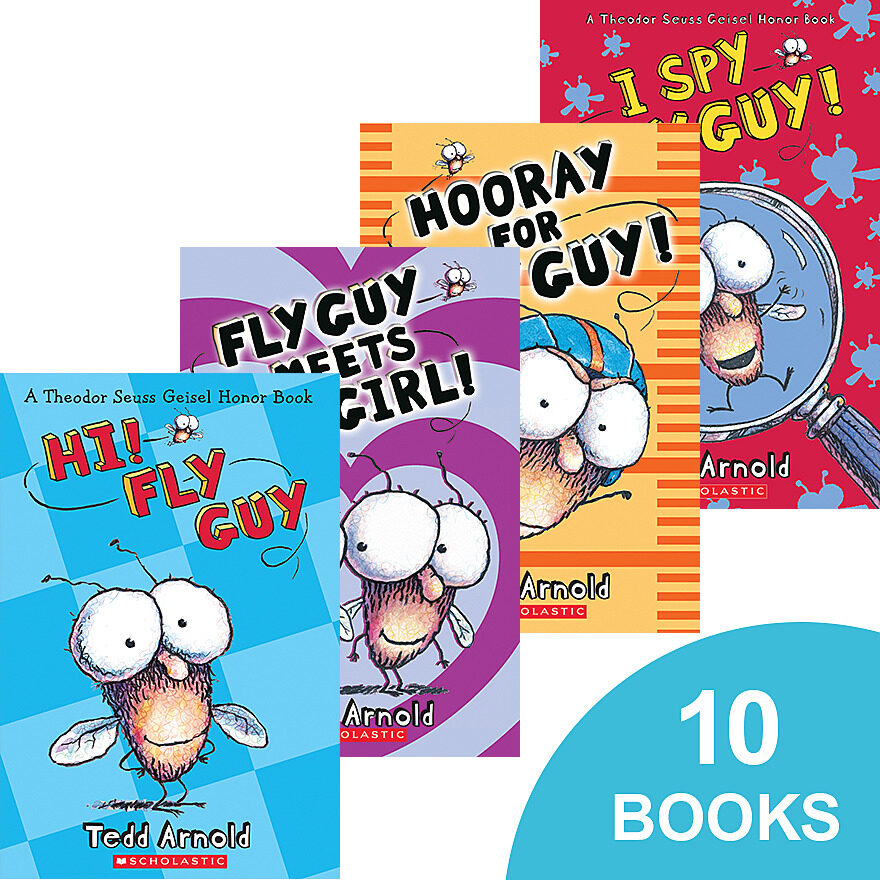 fly guy book cover