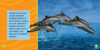 National Geographic Kids™ Explore My World: Dolphins