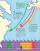 US History Through Infographics