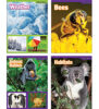 SuperScience® STEM Instant Activities: Grades 1–3