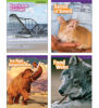 Superscience STEM Instant Activities: Grades 4–6