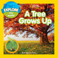 National Geographic Kids™: A Tree Grows Up