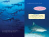 ¿Quién ganará? Tiburón martillo vs. tiburón sarda (Who Would Win?® Hammerhead vs. Bull Shark)