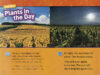 National Geographic Kids™: Day and Night (Level 1 Reader)