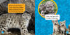 National Geographic Kids™: Snow Leopards Plus Plush