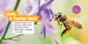 National Geographic Kids™ Explore My World: Honey Bees