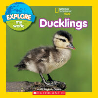 National Geographic Kids™ Explore My World: Ducklings