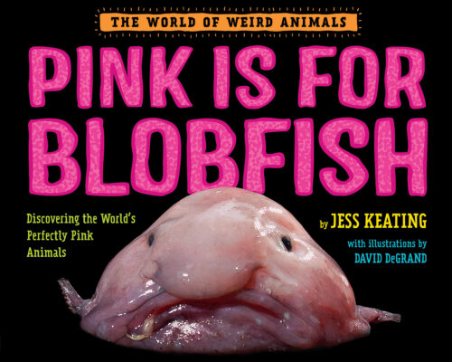 What Is a Blobfish?