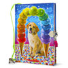 Rainbow Ice Cream Diary