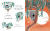 The Koala Who Could