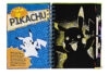 Pok&eacute;mon&trade;: Ultimate Sketch Challenge