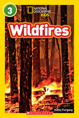 National Geographic Kids™: Wildfires by Kathy Furgang (Paperback