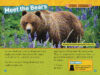 National Geographic Kids&trade;: Bears (Level 3 Reader)