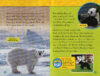 National Geographic Kids&trade;: Bears (Level 3 Reader)