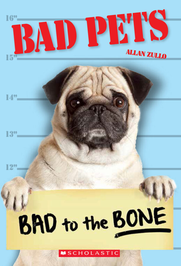 Бэд петс. Bad to the Bone Мем. Pets are Bad. Bad pets