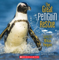 The Great Penguin Rescue: Saving the African Penguins