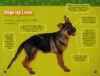 National Geographic Kids™: Woof! 100 Fun Facts About Dogs (Level 3 Reader)