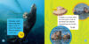 National Geographic Kids™ Explore My World: Sea Otters
