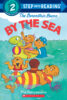 The Berenstain Bears® by the Sea