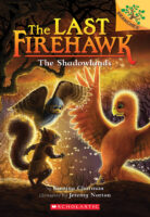 The Last Firehawk #5: The Shadowlands