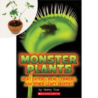 Monster Plants Plus Terrarium