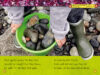 National Geographic Kids™: Rocks and Minerals Plus Rock Samples