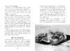 I Survived True Stories: Courageous Creatures