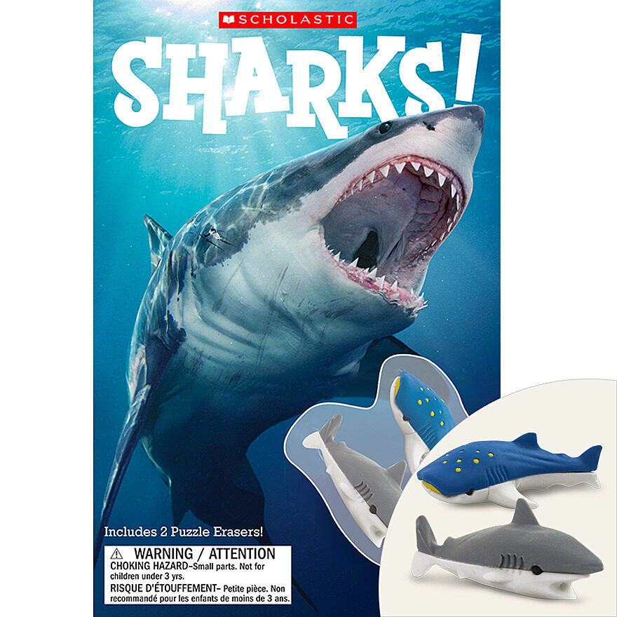 Shark Attack!: Scholastic: 9781338323016: : Books