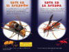 ¿Quién ganará? Avispón vs. avispa (Who Would Win?® Hornet vs. Wasp)