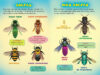 ¿Quién ganará? Avispón vs. avispa (Who Would Win?® Hornet vs. Wasp)