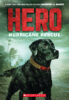 Hero: Hurricane Rescue