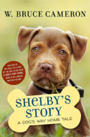 Shelby’s Story: A Dog’s Way Home Tale