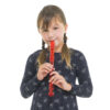 Learn to Play the Recorder: Christmas Set