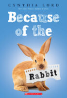 Because of the Rabbit