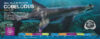 Dinosharks!