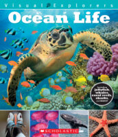 Visual Explorers: Ocean Life