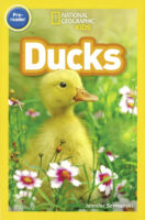 National Geographic Kids™: Ducks (Pre-reader)