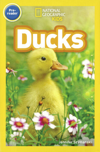 National Geographic Kids™: Ducks (Pre-reader) by Jennifer 