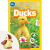 National Geographic Kids™: Ducks Book Plus Plush