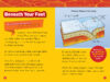 National Geographic Kids™: Erupt! 100 Fun Facts About Volcanoes