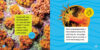 National Geographic Kids™ Explore My World: Coral Reefs