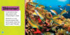 National Geographic Kids™ Explore My World: Coral Reefs