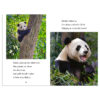 Baby Panda Goes Wild! (Level 3 Reader)