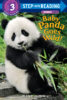 Baby Panda Goes Wild! (Level 3 Reader)