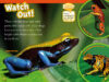 National Geographic Kids™: Frogs! Plus Plush