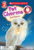 Pet Charms: Owl Rescue