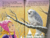Pet Charms: Owl Rescue