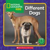 National Geographic Kids™: Different Dogs