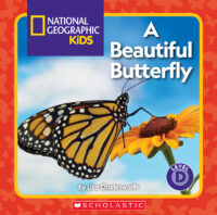 National Geographic Kids™: A Beautiful Butterfly