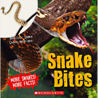 Snake Bites Plus Necklace